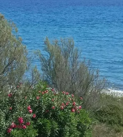 Bord De * San-Nicolao