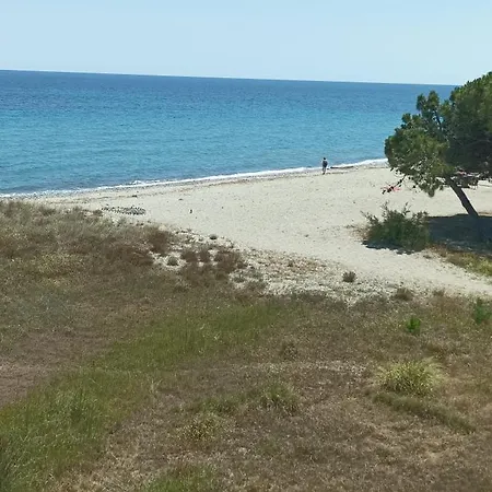 Studio Bord De Mer Apartment San-Nicolao