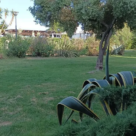 Bord De *