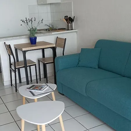 Studio Bord De Mer Apartment San-Nicolao